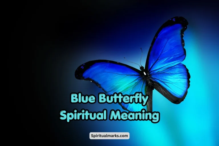 Blue Butterfly Spiritual Meaning and Symbolism