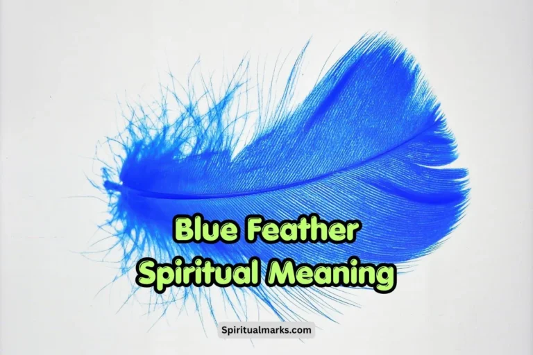 Blue Feather Spiritual Meaning, Symbolism and Significance