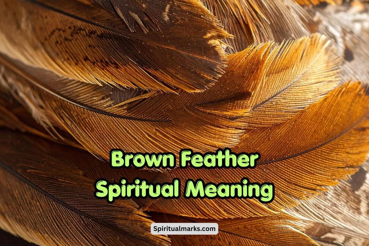 Brown Feather Spiritual Meaning, Symbolism and Significance