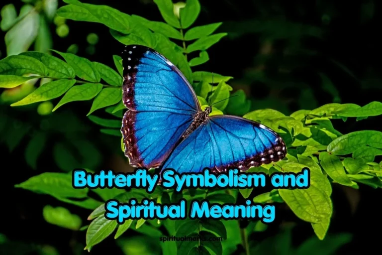 Butterfly Spiritual Meaning and Symbolism
