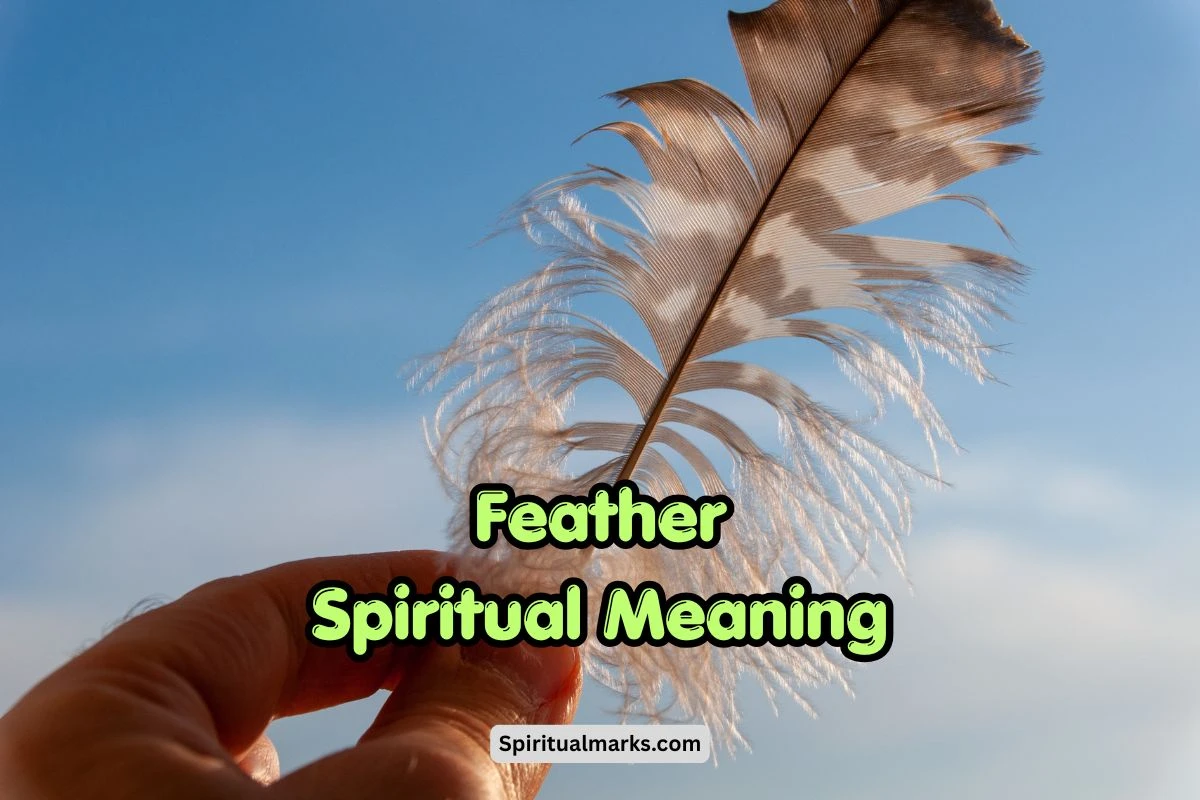 Feather Spiritual Meaning, Symbolism and Significance