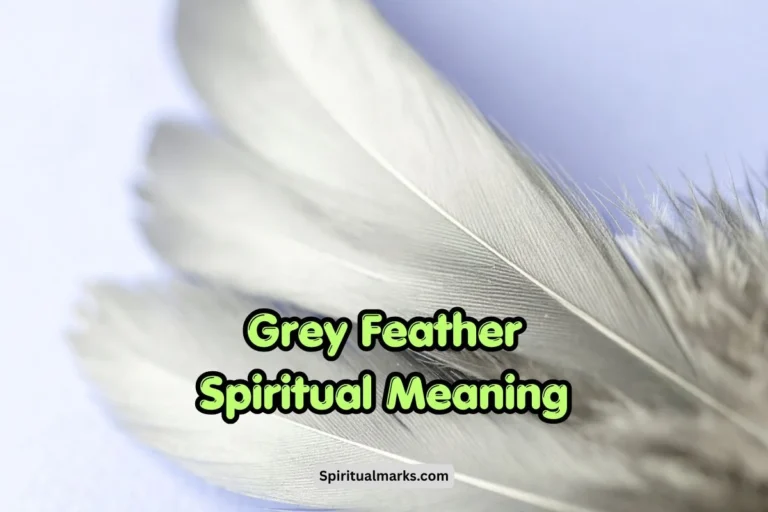 Finding a Grey Feather Spiritual Meaning and Symbolism