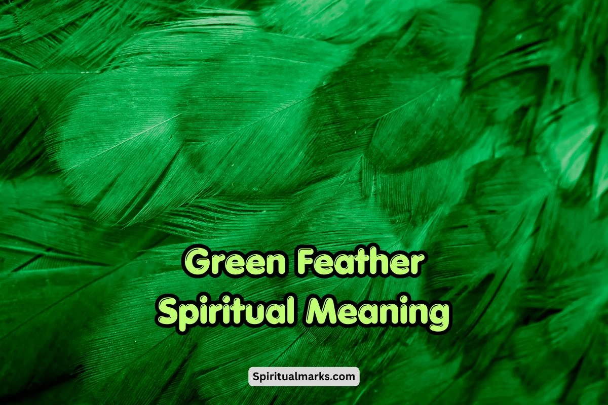 Green Feather Spiritual Meaning, Symbolism and Significance