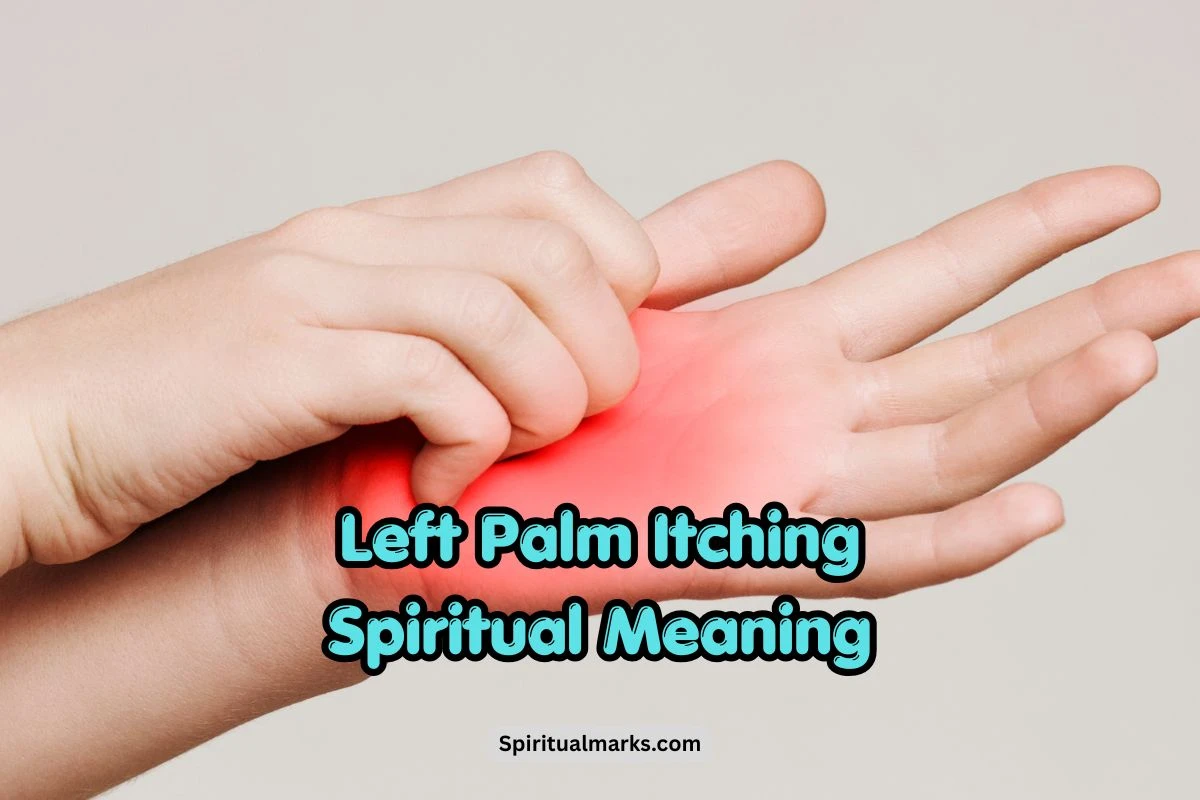 Left Palm Itching Spiritual Meaning and Superstition
