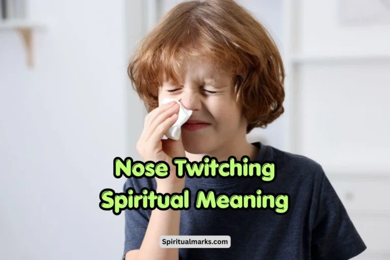 Nose Twitching Spiritual Meaning and Superstition