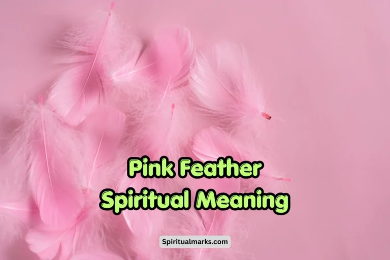 Pink Feather Spiritual Meaning, Symbolism and Significance