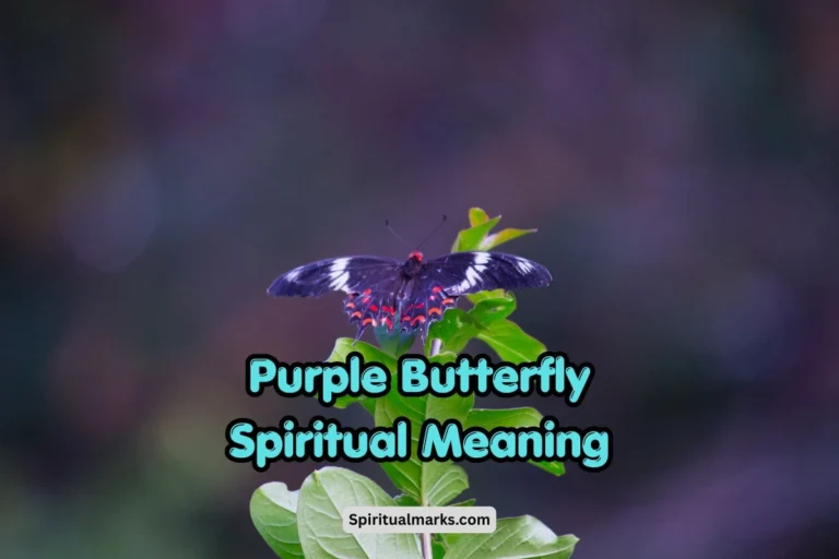 Purple Butterfly Spiritual Meaning and Symbolism