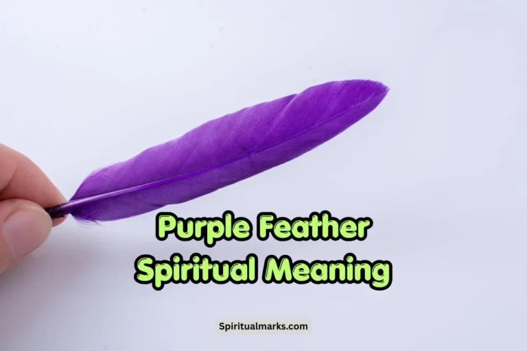 Purple Feather Spiritual Meaning, Symbolism and Significance