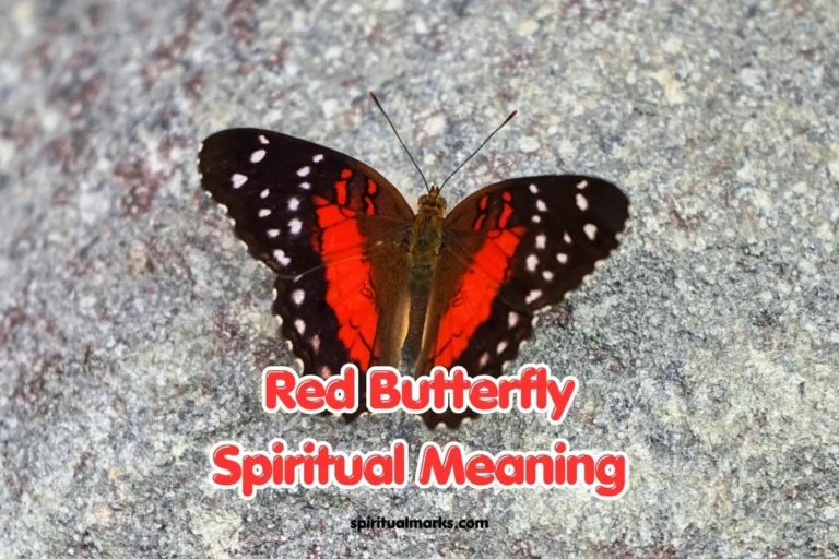 Red Butterfly Spiritual Meaning and Symbolism