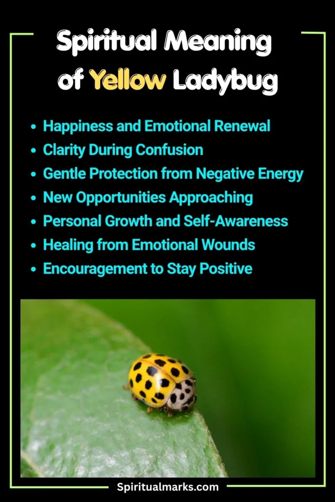 What Does Yellow Ladybug Symbolize Spiritually