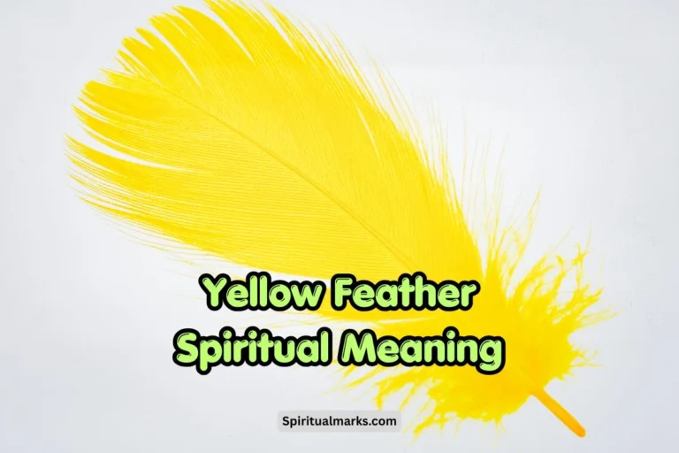 Yellow Feather Spiritual Meaning, Symbolism and Significance