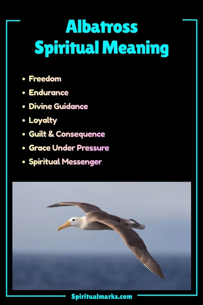 Albatross Spiritual Meaning, Symbolism and Cultural Significance