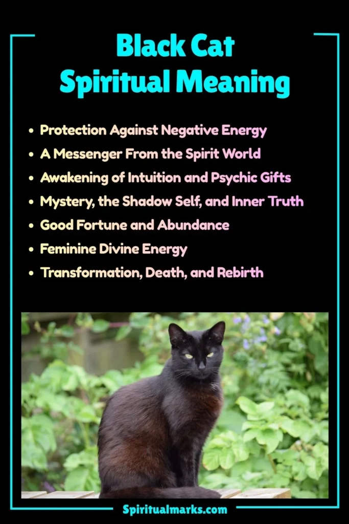 Black Cat Spiritual Meaning, Symbolism and Cultural Significance