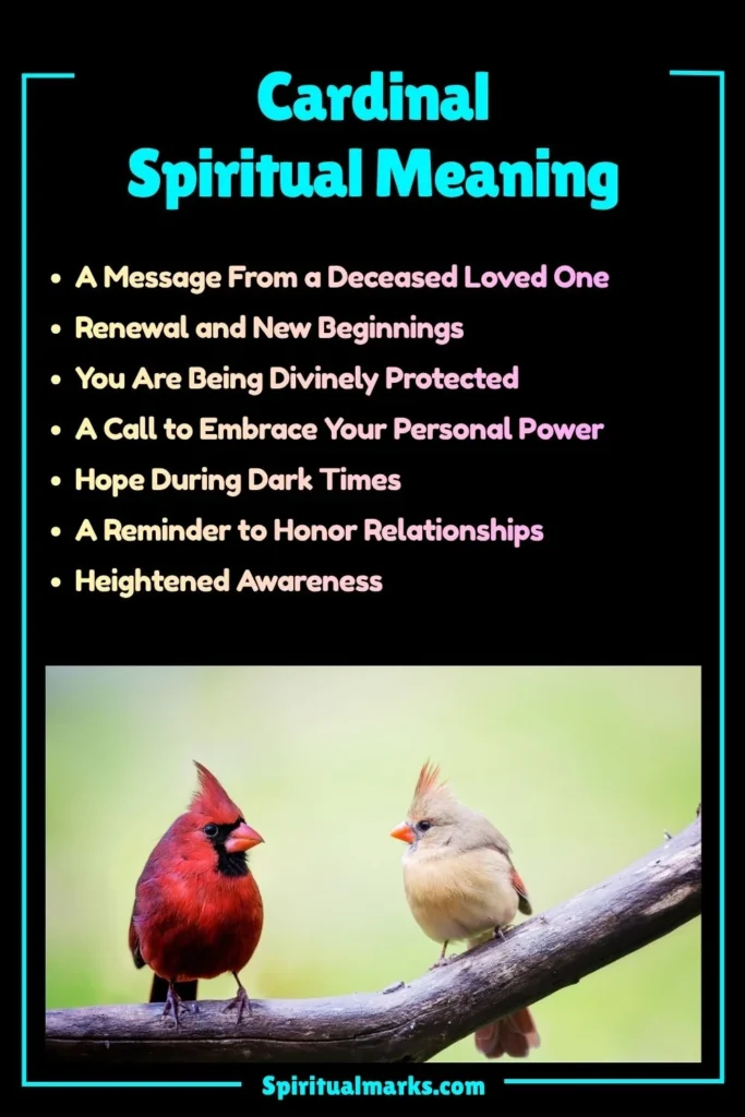 Cardinal Spiritual Meaning, Symbolism and Cultural Significance