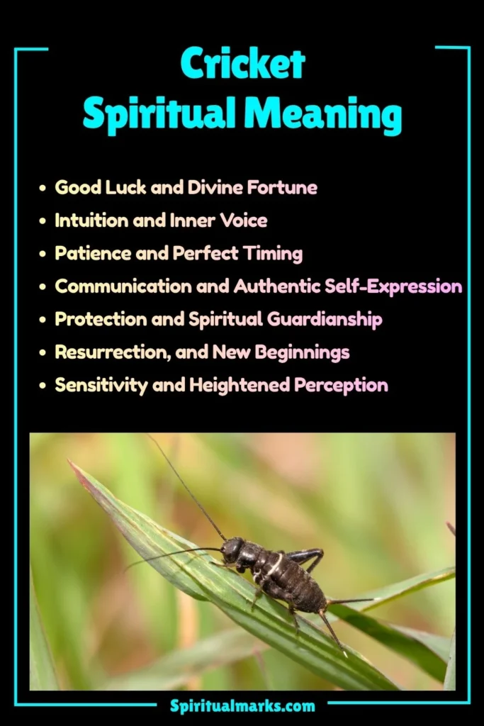Cricket Spiritual Meaning, Symbolism and Cultural Significance