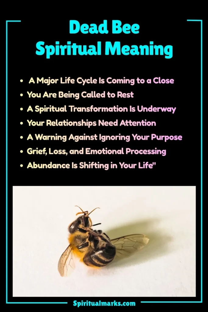 Dead Bee Spiritual Meaning, Symbolism and Cultural Significance