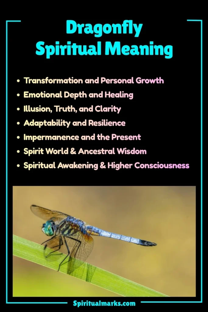 Dragonfly Spiritual Meaning, Symbolism and Cultural Significance
