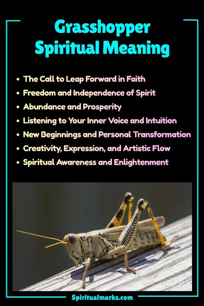 Grasshopper Spiritual Meaning, Symbolism and Cultural Significance