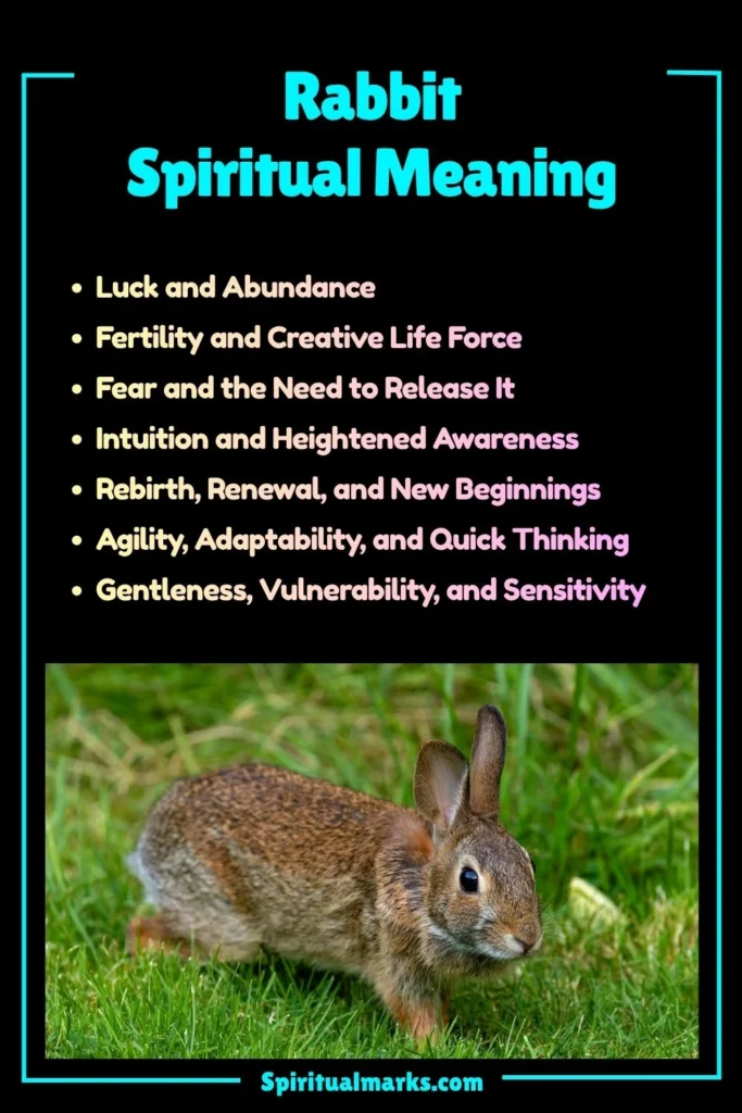 Rabbit Spiritual Meaning, Symbolism and Cultural Significance