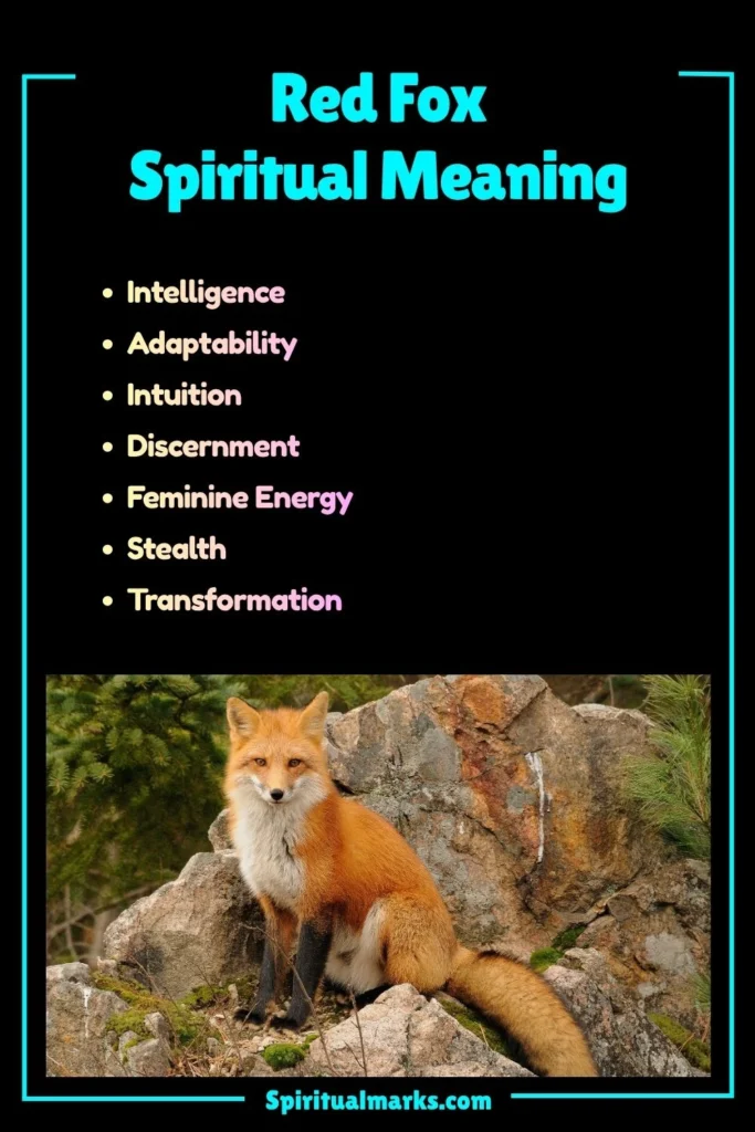 Red Fox Spiritual Meaning, Symbolism and Cultural Significance