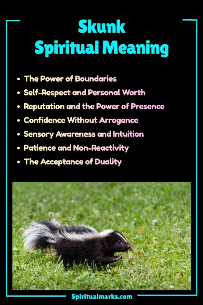 Skunk Spiritual Meaning, Symbolism and Cultural Significance