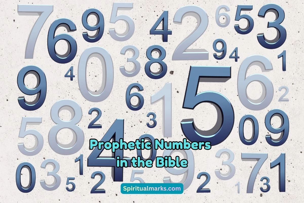 What are Prophetic Numbers in the Bible