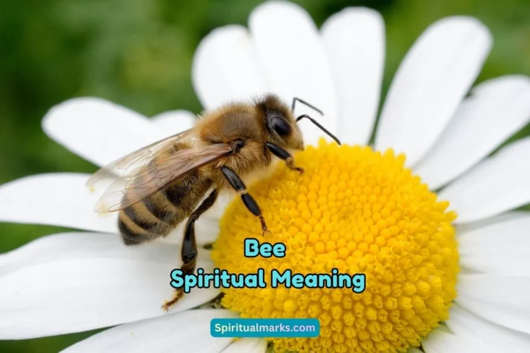 What is the Spiritual Meaning of Bee