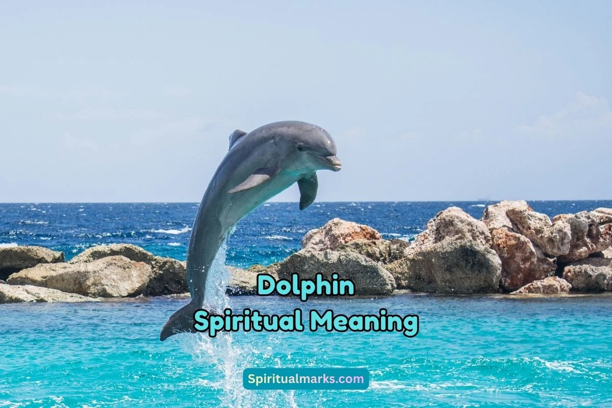 What is the Spiritual Meaning of Dolphin