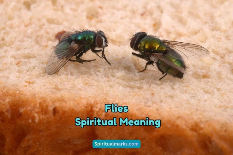 What is the Spiritual Meaning of Flies