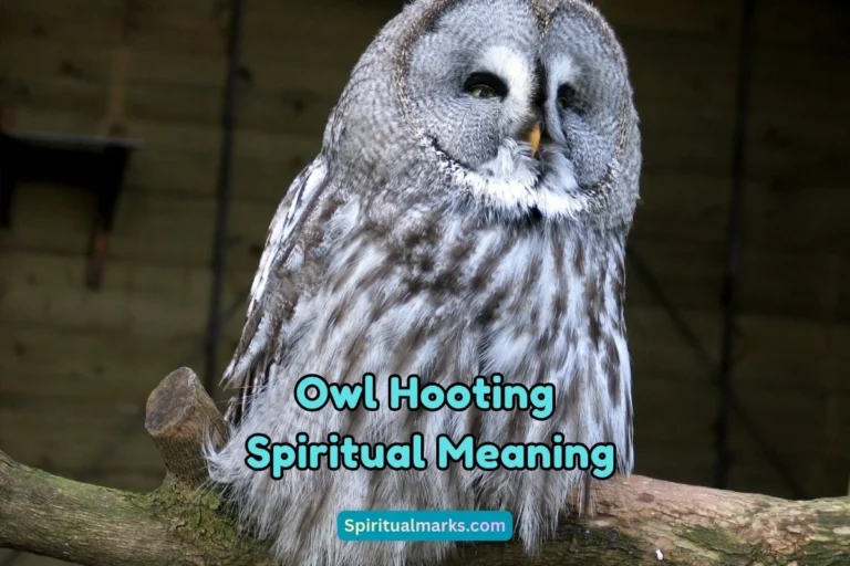 What is the Spiritual Meaning of Owl Hooting