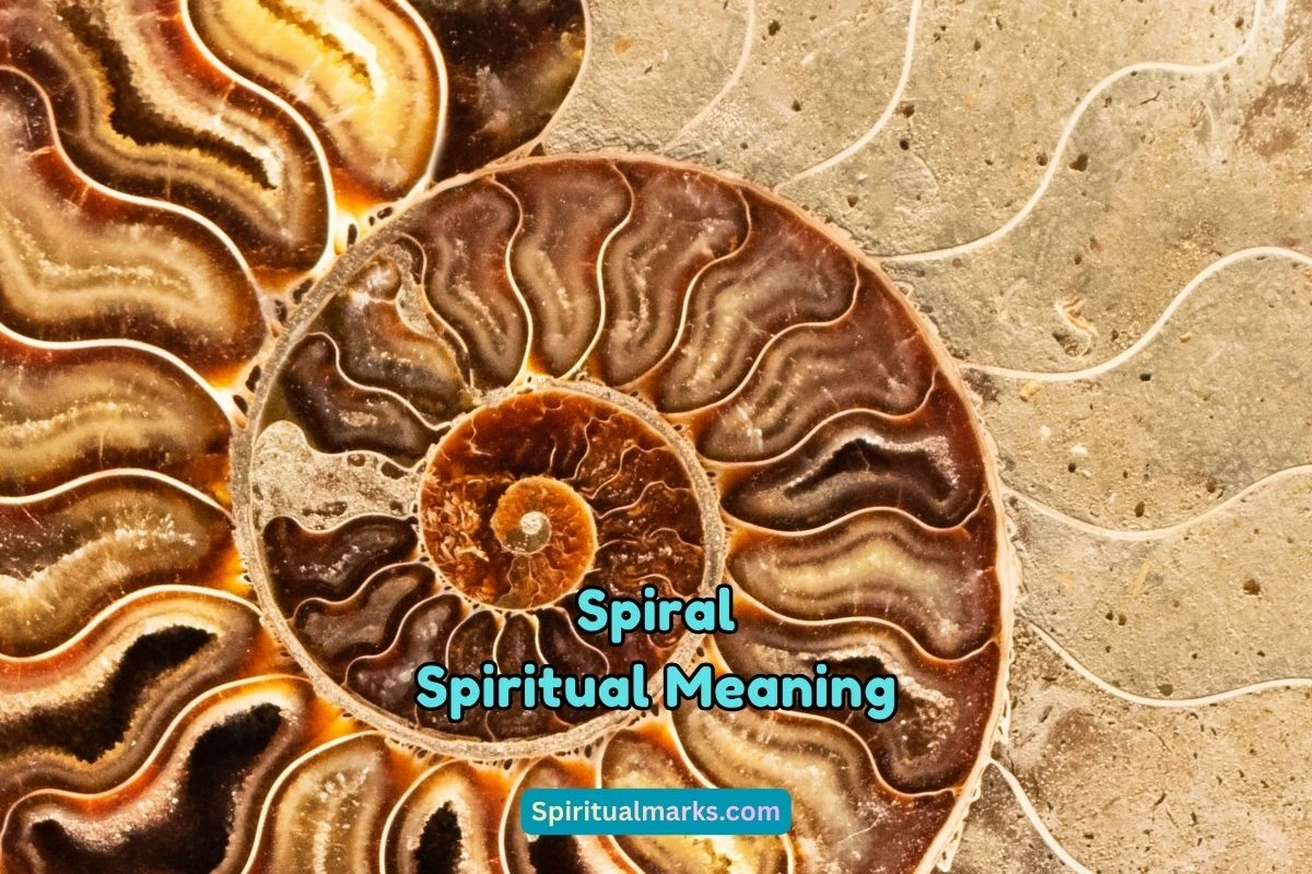 What is the Spiritual Meaning of Spiral
